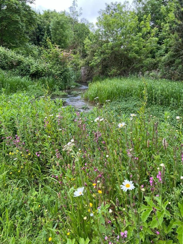 Mill Stream Retreat Villa Legbourne Bagian luar foto